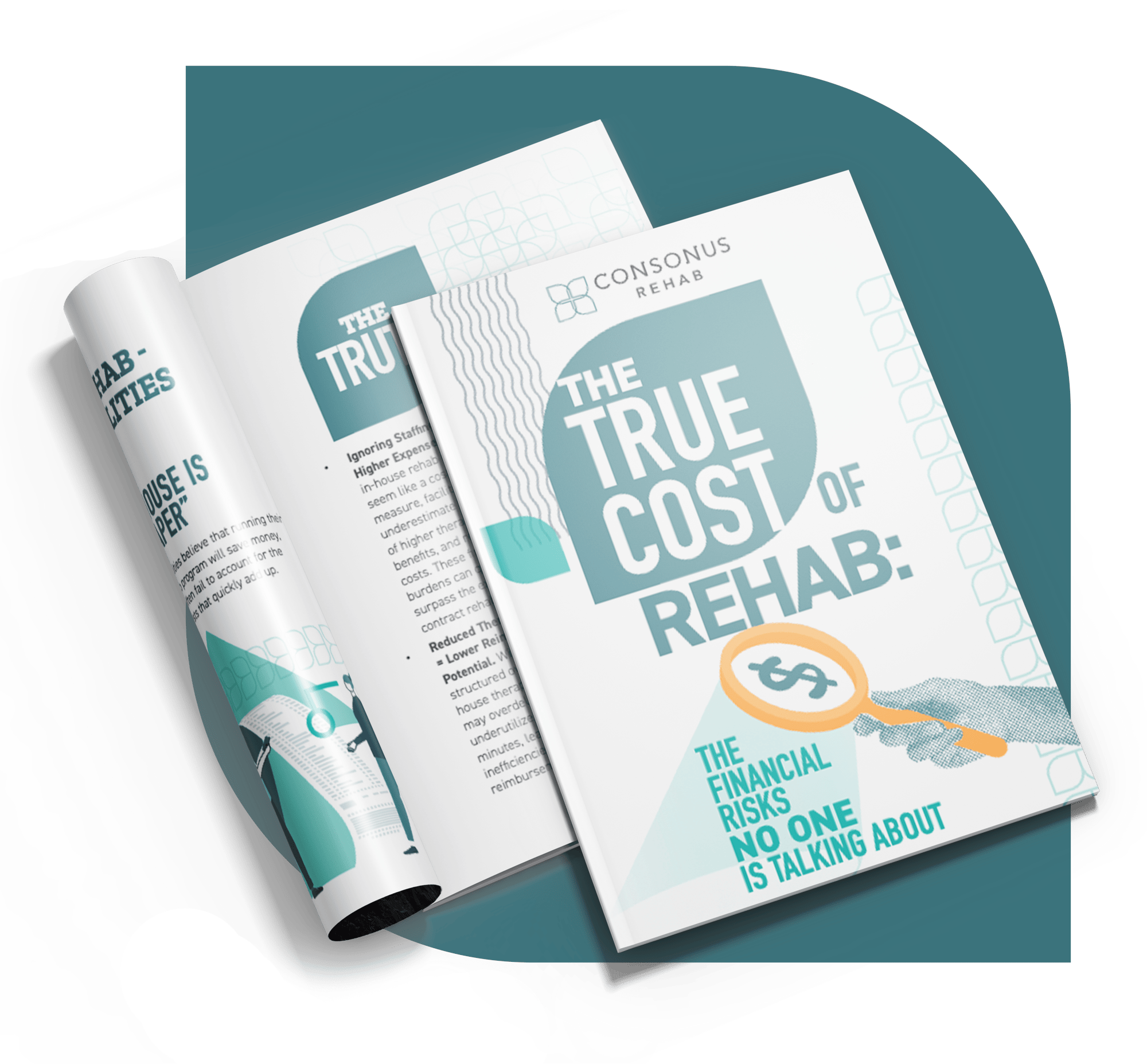 True cost of rehab_MockUp_3-1 True cost of rehab_MockUp_3-1